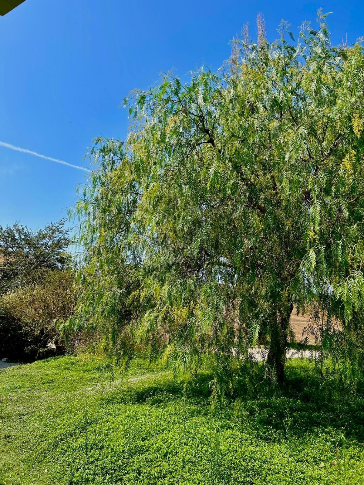Agriturismo Podere Farnesiana Tarquinia Bagian luar foto