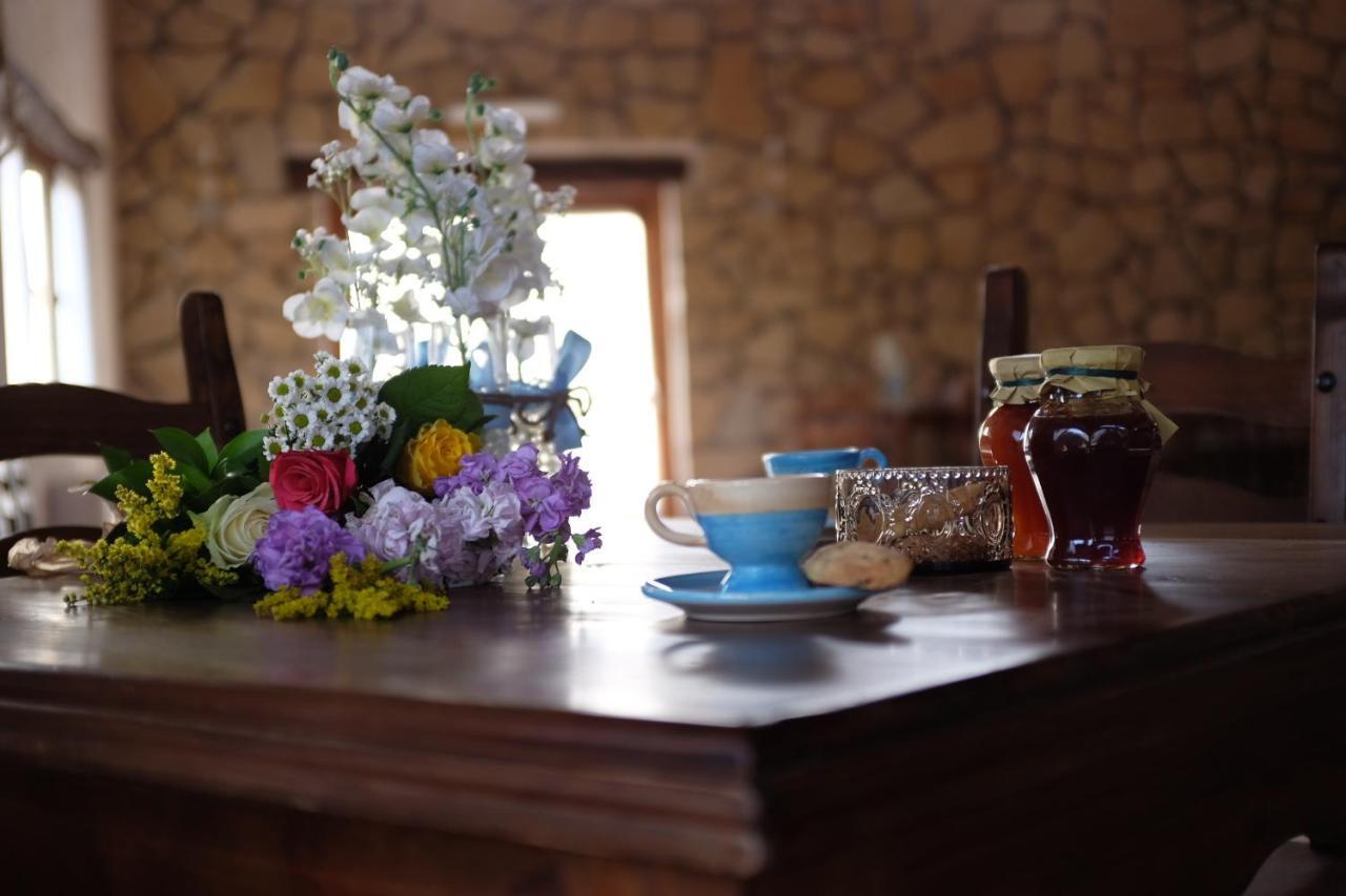 Agriturismo Podere Farnesiana Tarquinia Bagian luar foto